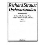 Image links to product page for Orchestral Studies, Stage Works Vol 2