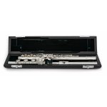 Image links to product page for Azumi AZ-S2RBE Flute