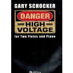 Image links to product page for Danger: High Voltage