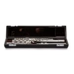 Image links to product page for Di Zhao Boston DZ-801BEF Flute