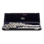 Image links to product page for Pre-Owned Wm S Haynes Silver RBE Flute