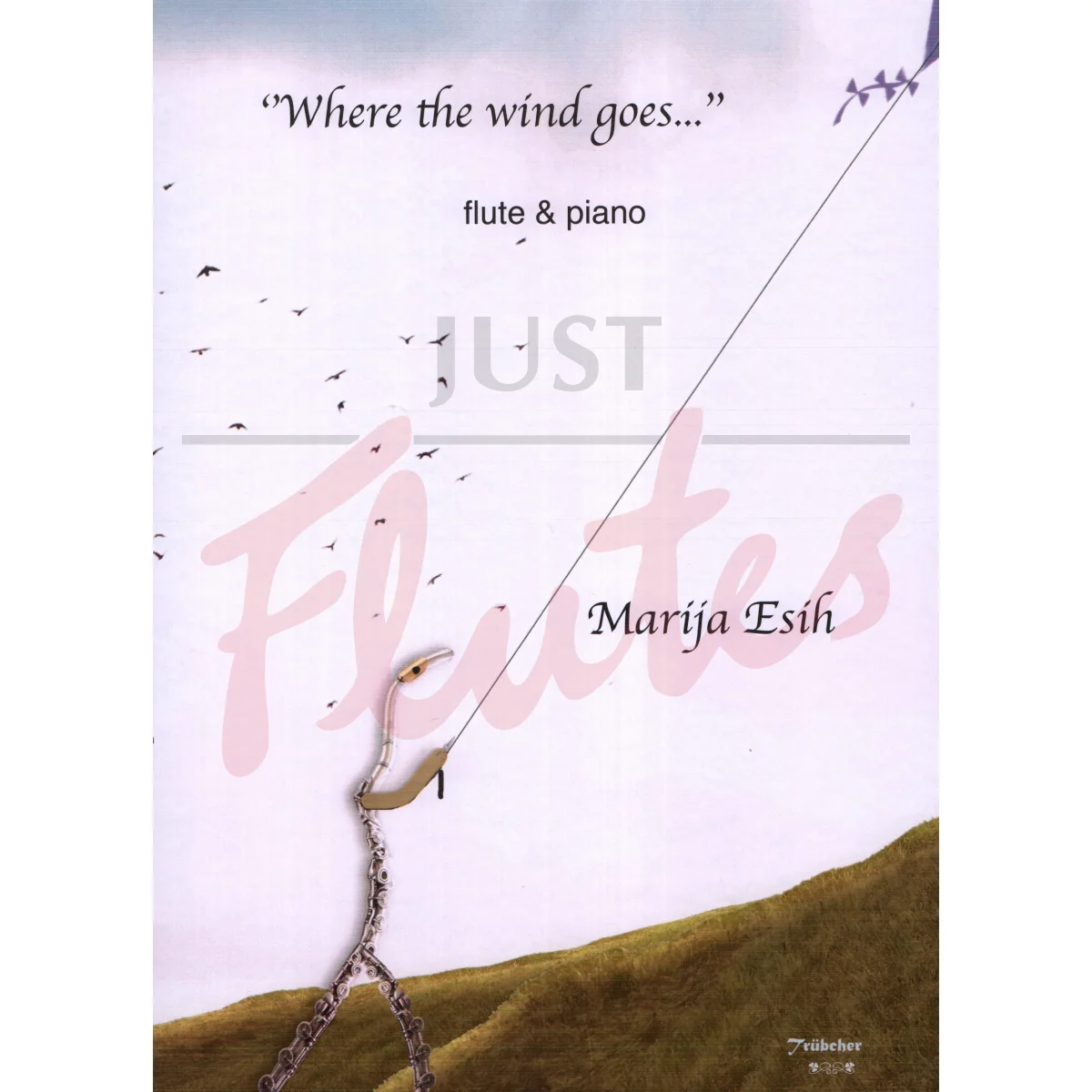 &quot;Where the wind goes…&quot; for Flute and Piano