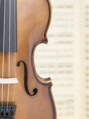Violin