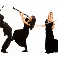 Wind Quintet Day with Atea