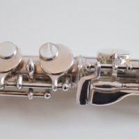 Low Flutes Sessions with Carla Rees