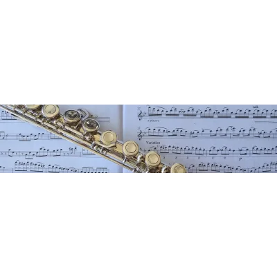 Flute Workshop with Lis Lewis on Saturday 20th September 2025