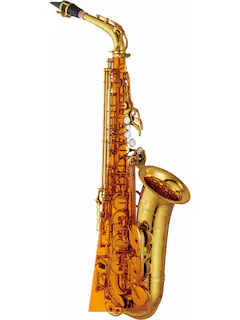 62 shape with custom brass
