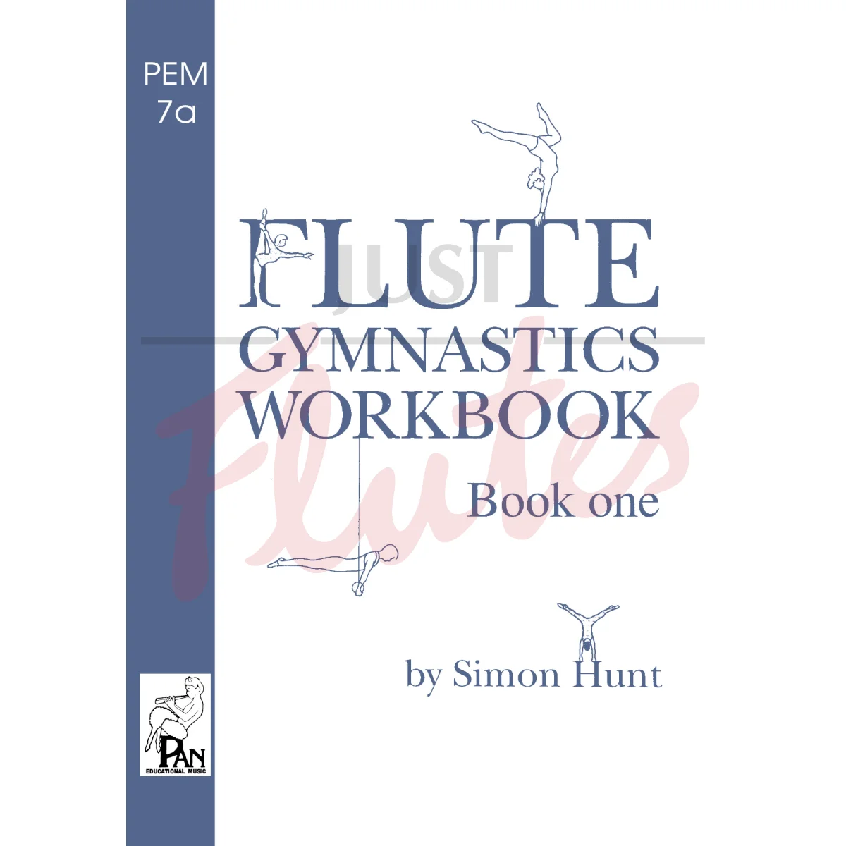 Flute Gymnastics Workbook