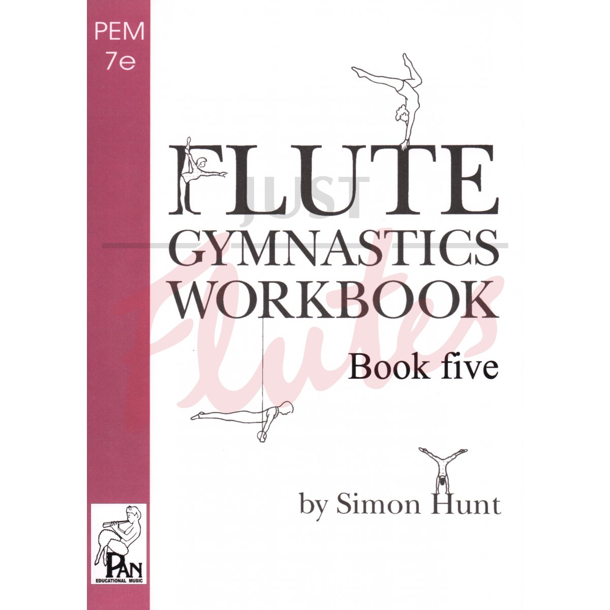 Flute Gymnastics Workbook