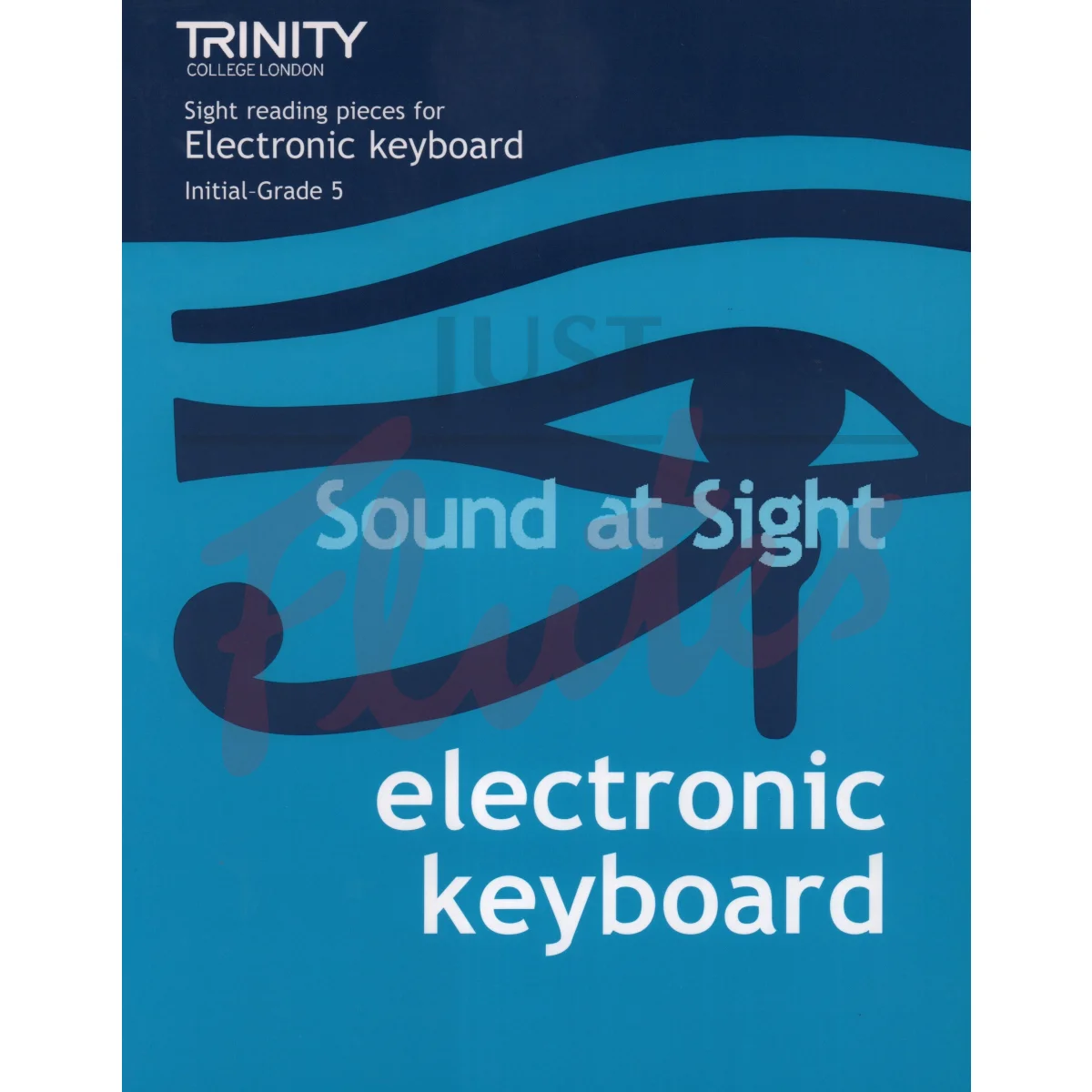 Sound @ Sight Electronic Keyboard Initial To Grade 5