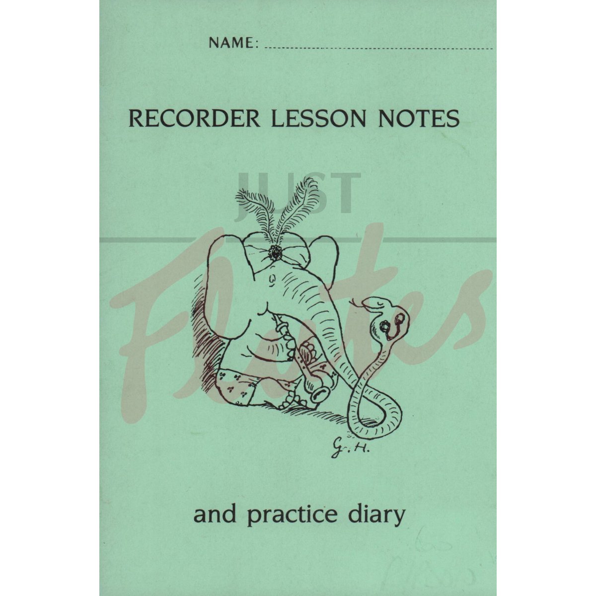 Recorder Lessons &amp; Practice Diary