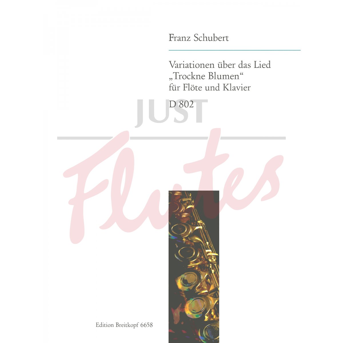 Introduction and Variations on &quot;Trockne Blumen&quot; for Flute and Piano