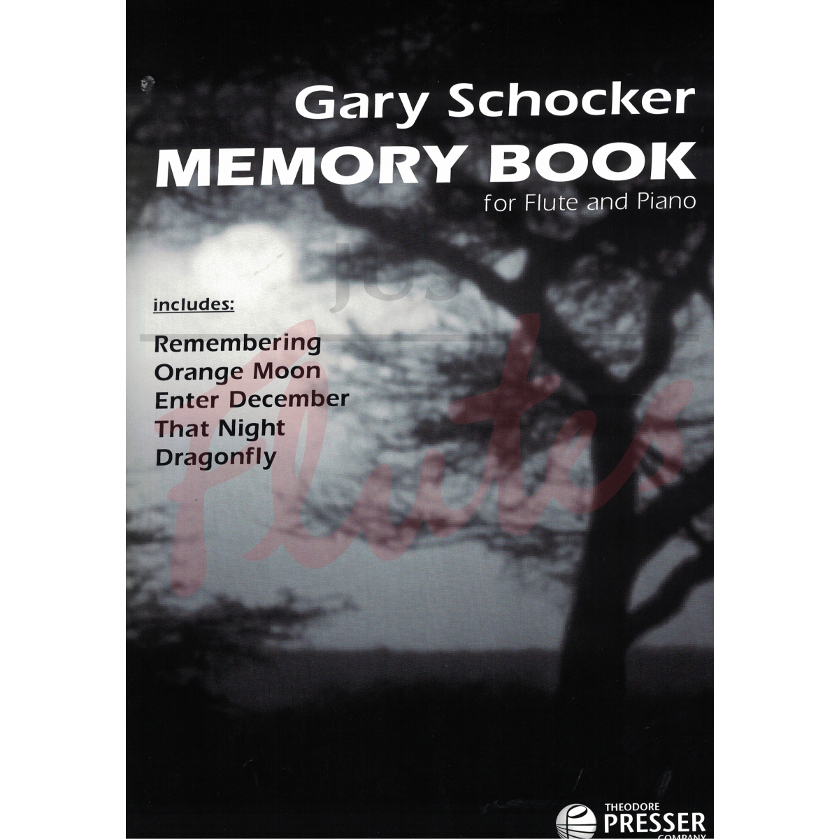 Memory Book