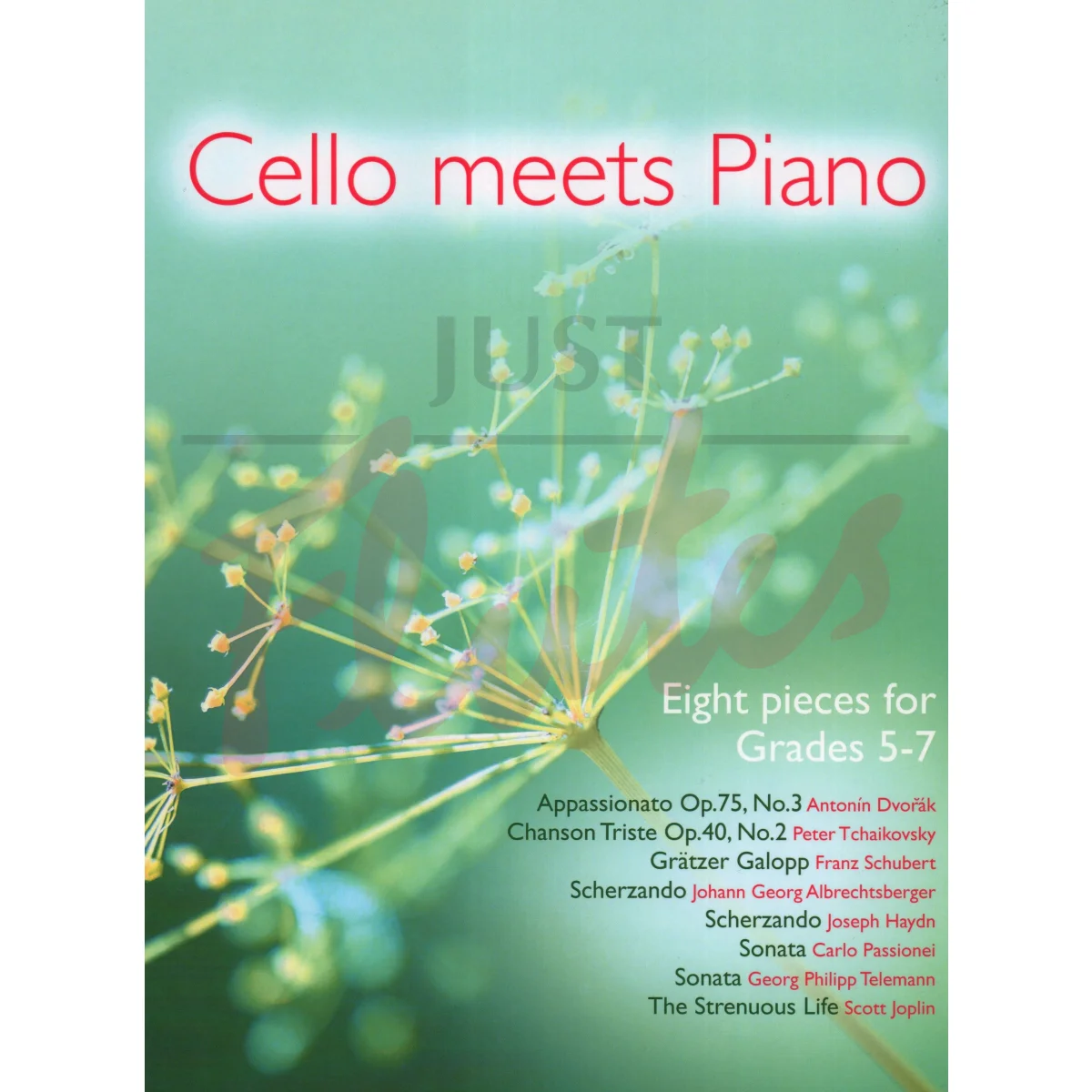 Cello Meets Piano