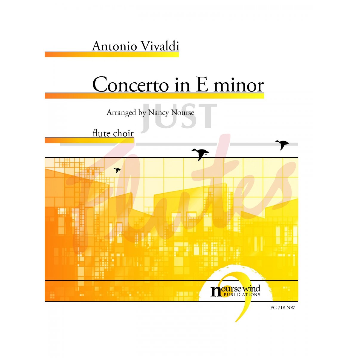 Concerto in E minor [Flute Choir]