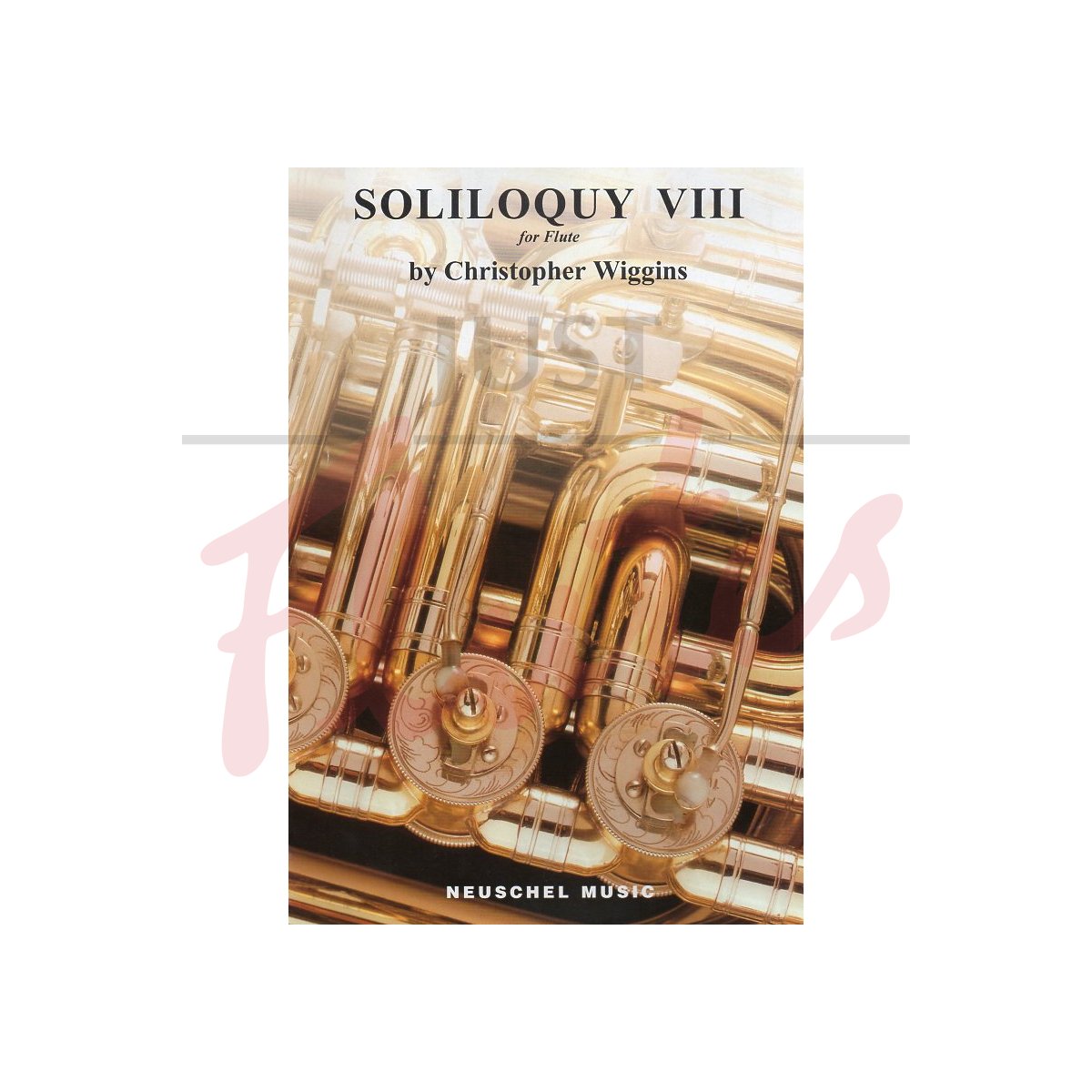 Solioquy VIII