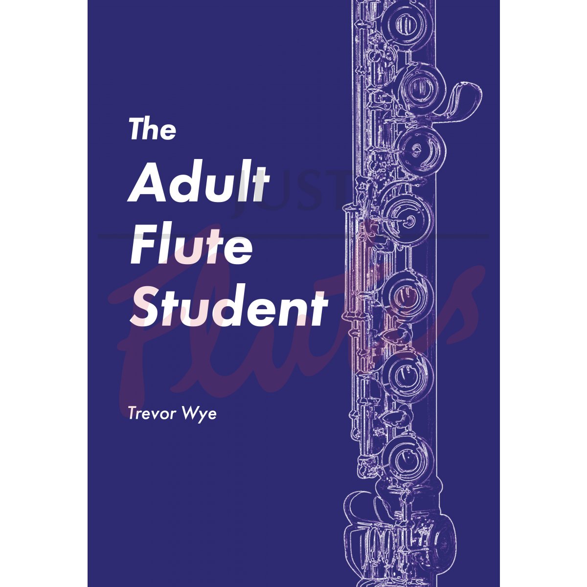 The Adult Flute Student