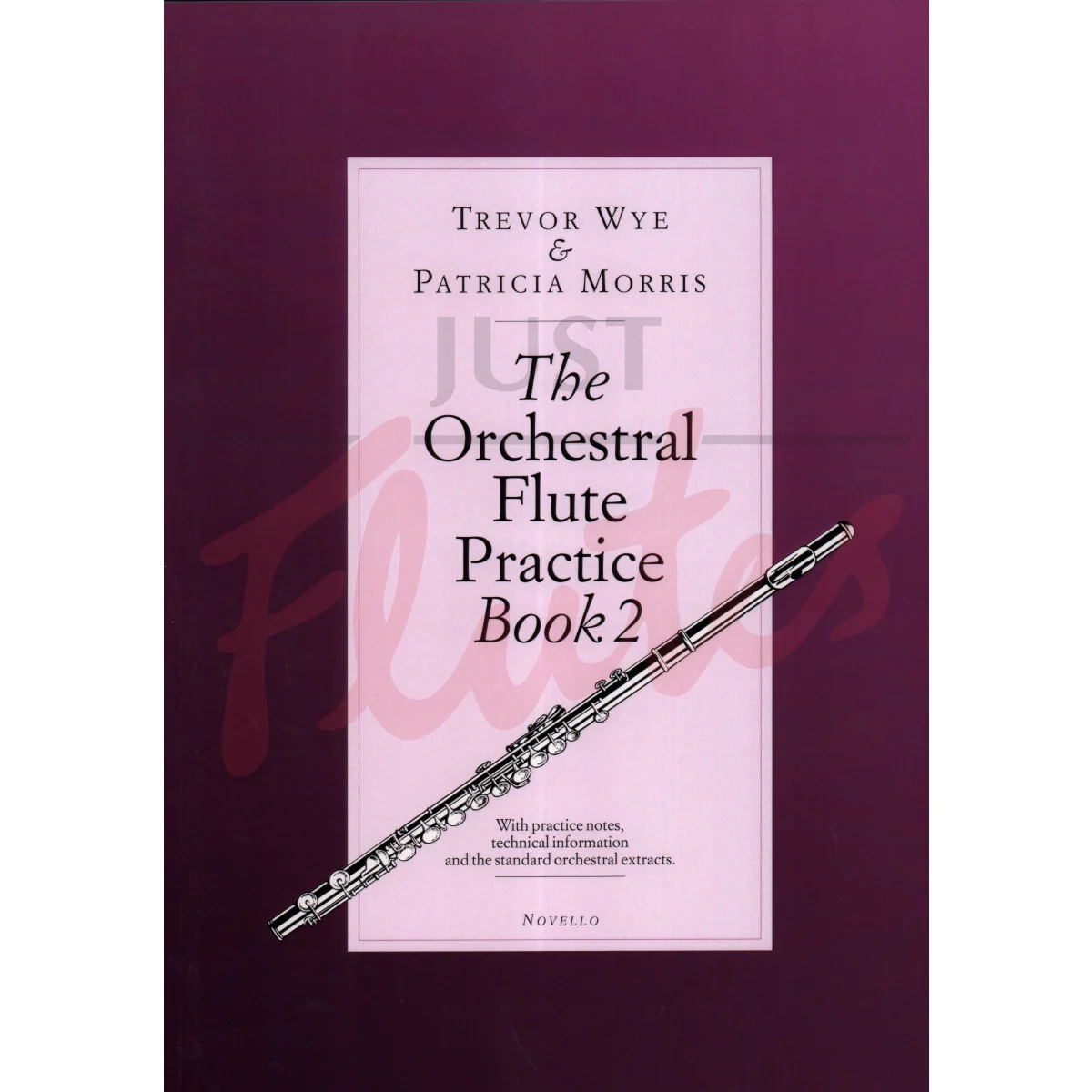 The Orchestral Flute Practice Book 2