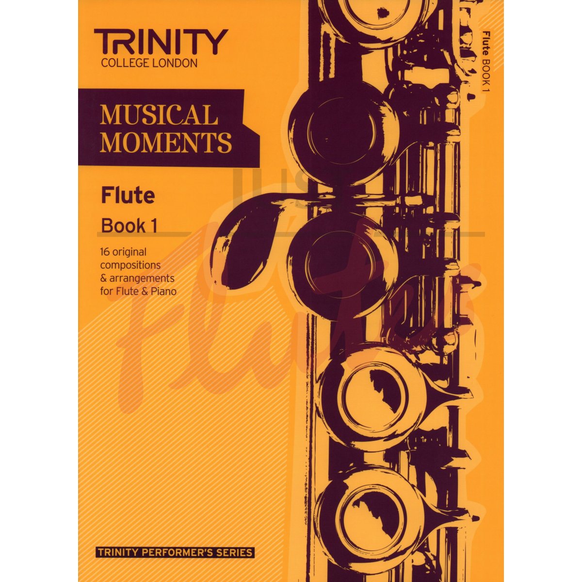 Musical Moments for Flute and Piano