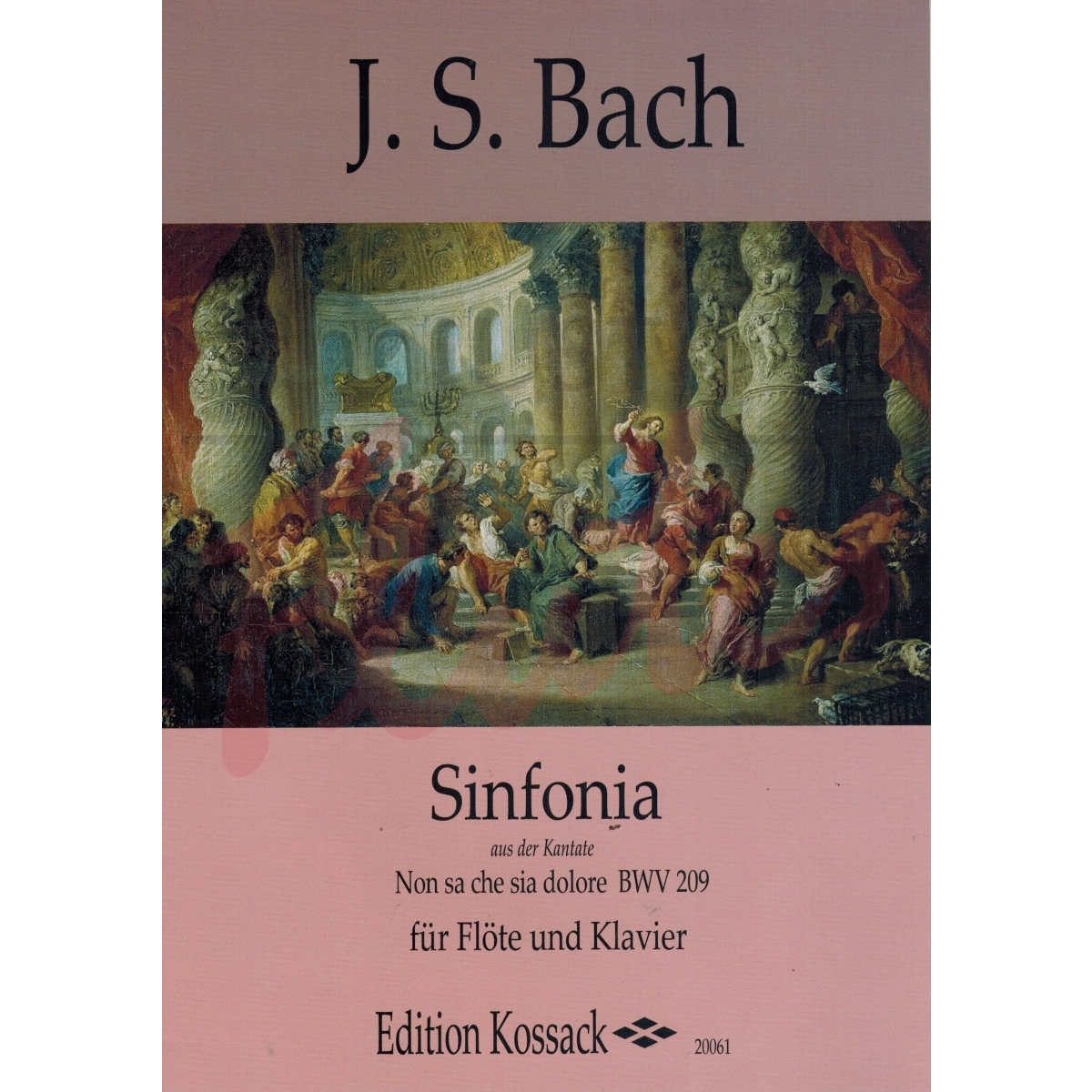 Sinfonia from Cantata &quot;Non sa che sia dolore&quot;