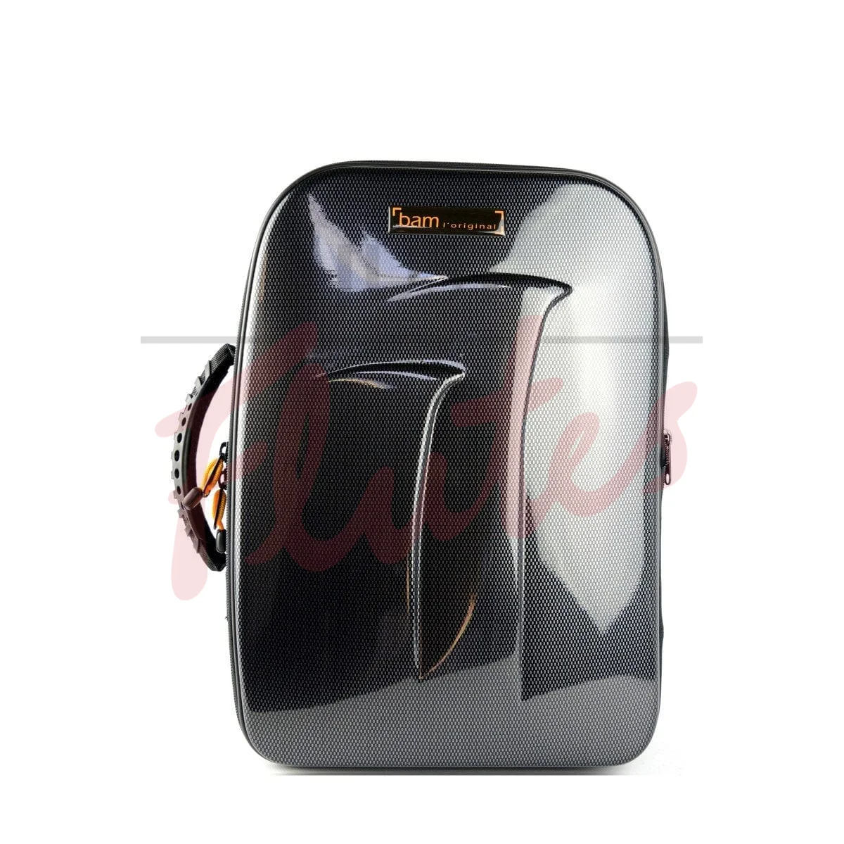 Bam TREK3028SC Double Clarinet New Trekking Case, Black Carbon