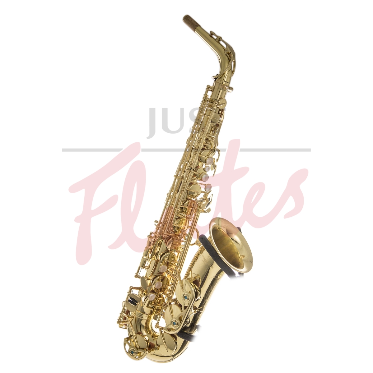 Yanagisawa AWO1 Alto Saxophone