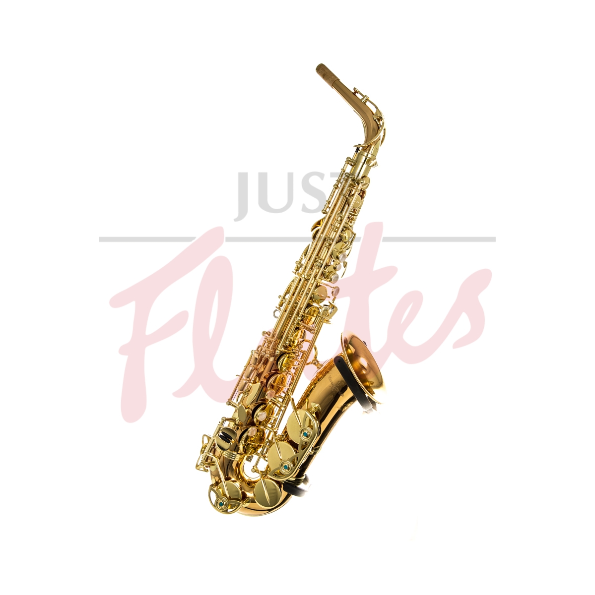 Yanagisawa AWO2 Alto Saxophone