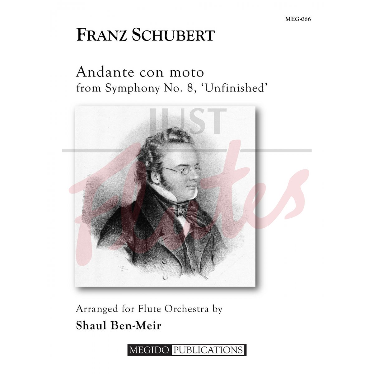 Andante con Moto from Symphony No. 8 &quot;Unfinished&quot;