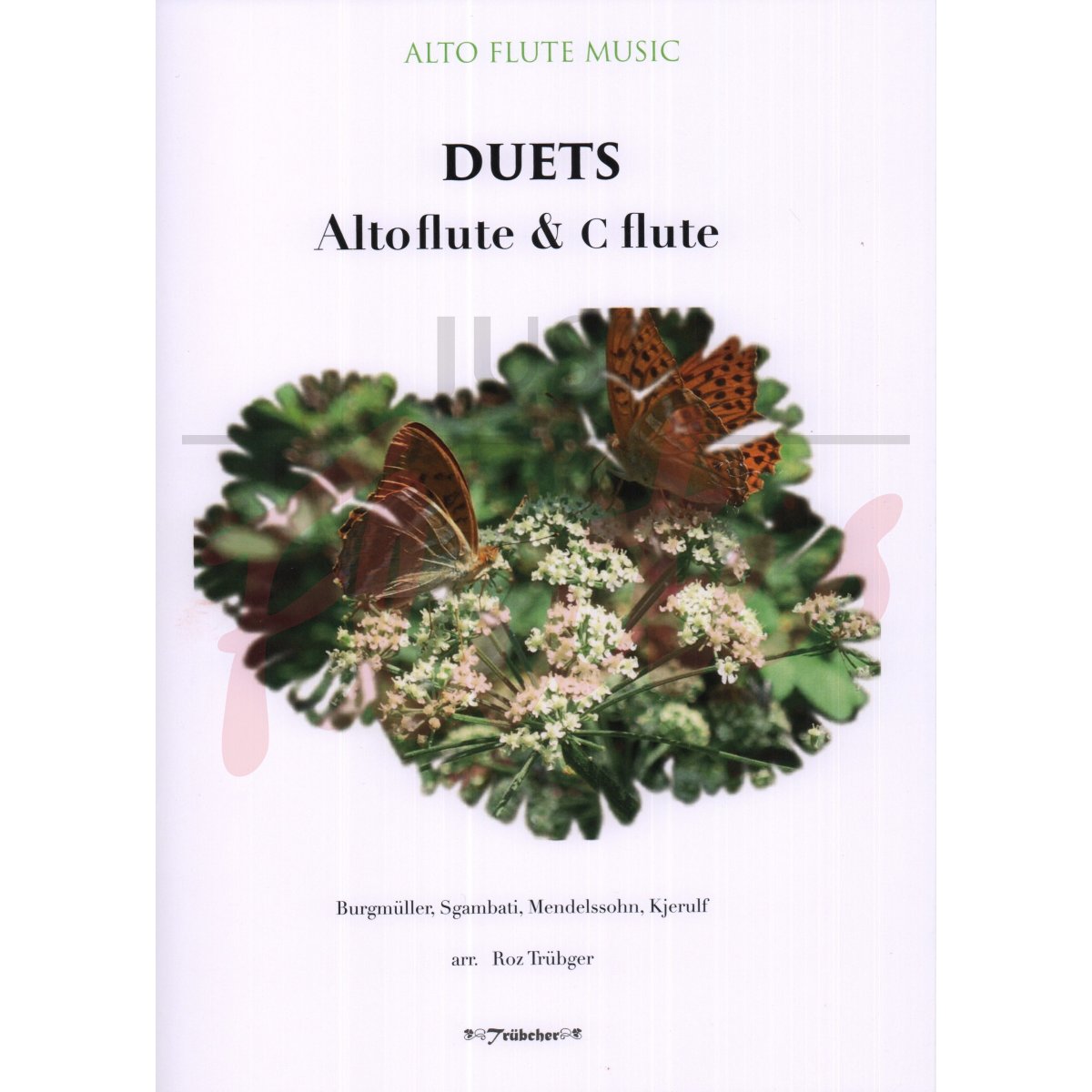 Duets for Alto Flute and C Flute