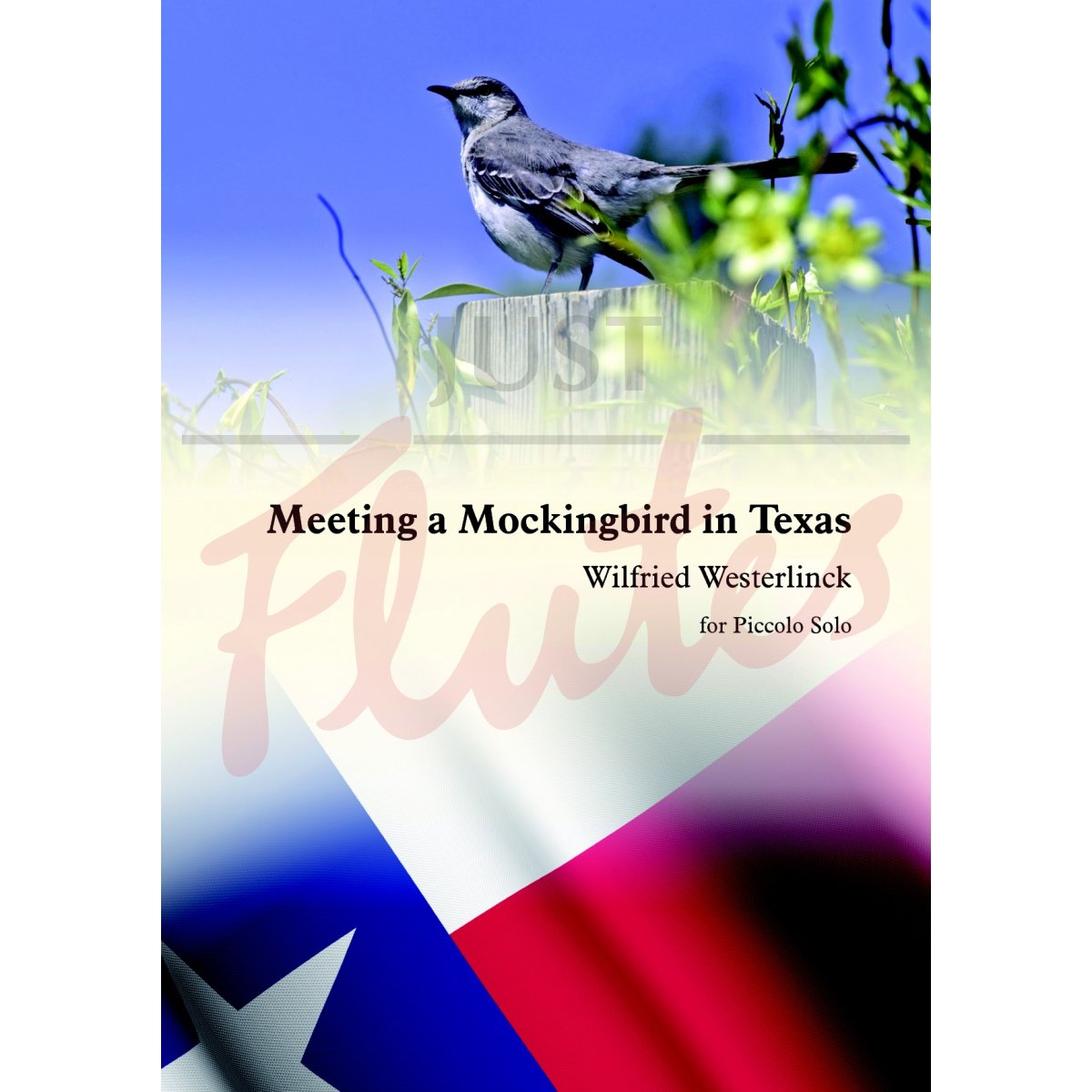 Meeting a Mockingbird in Texas for Solo Piccolo