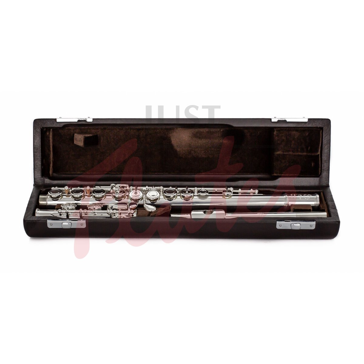 Di Zhao Boston DZ-601CEA Flute