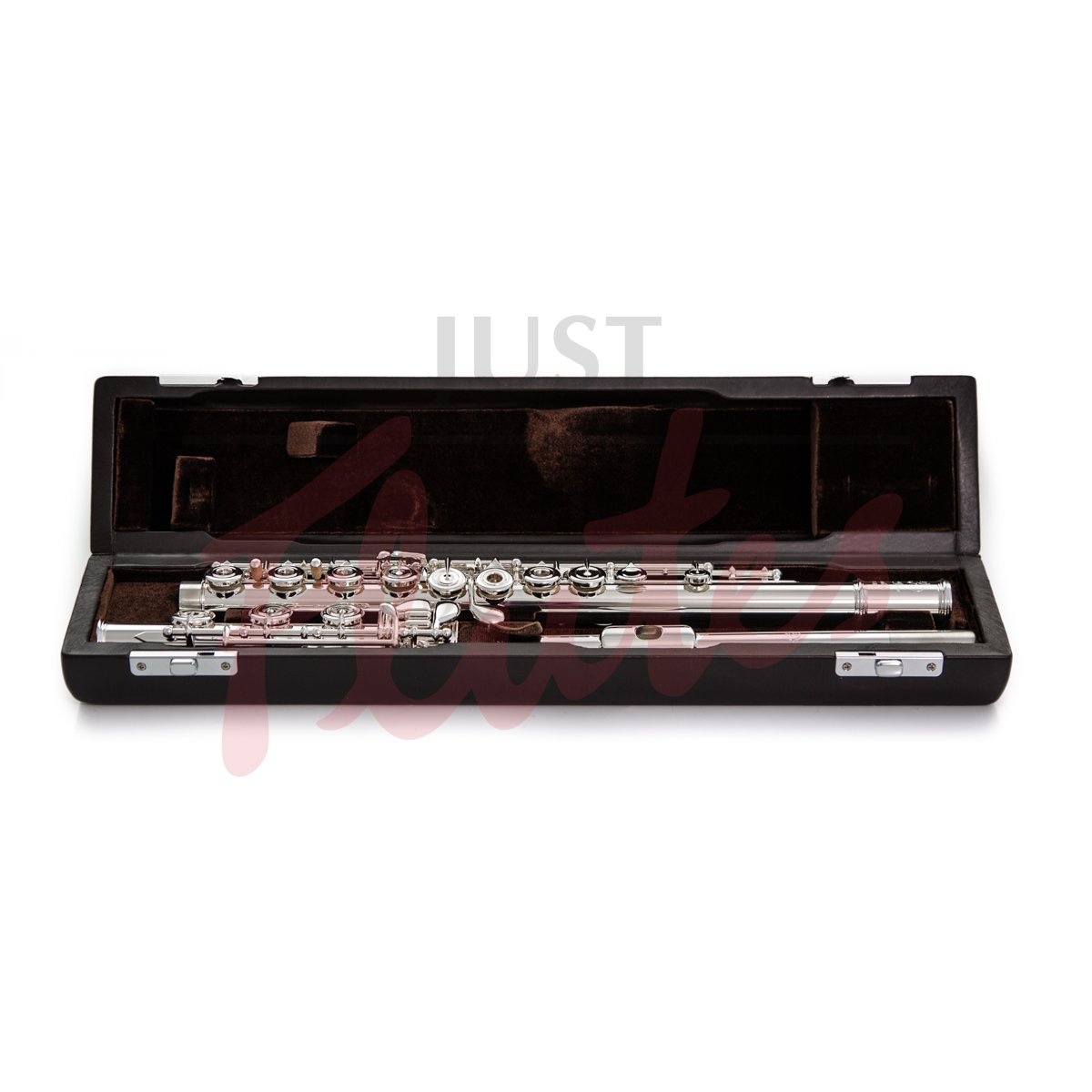 Di Zhao Boston DZ-801BEF Flute