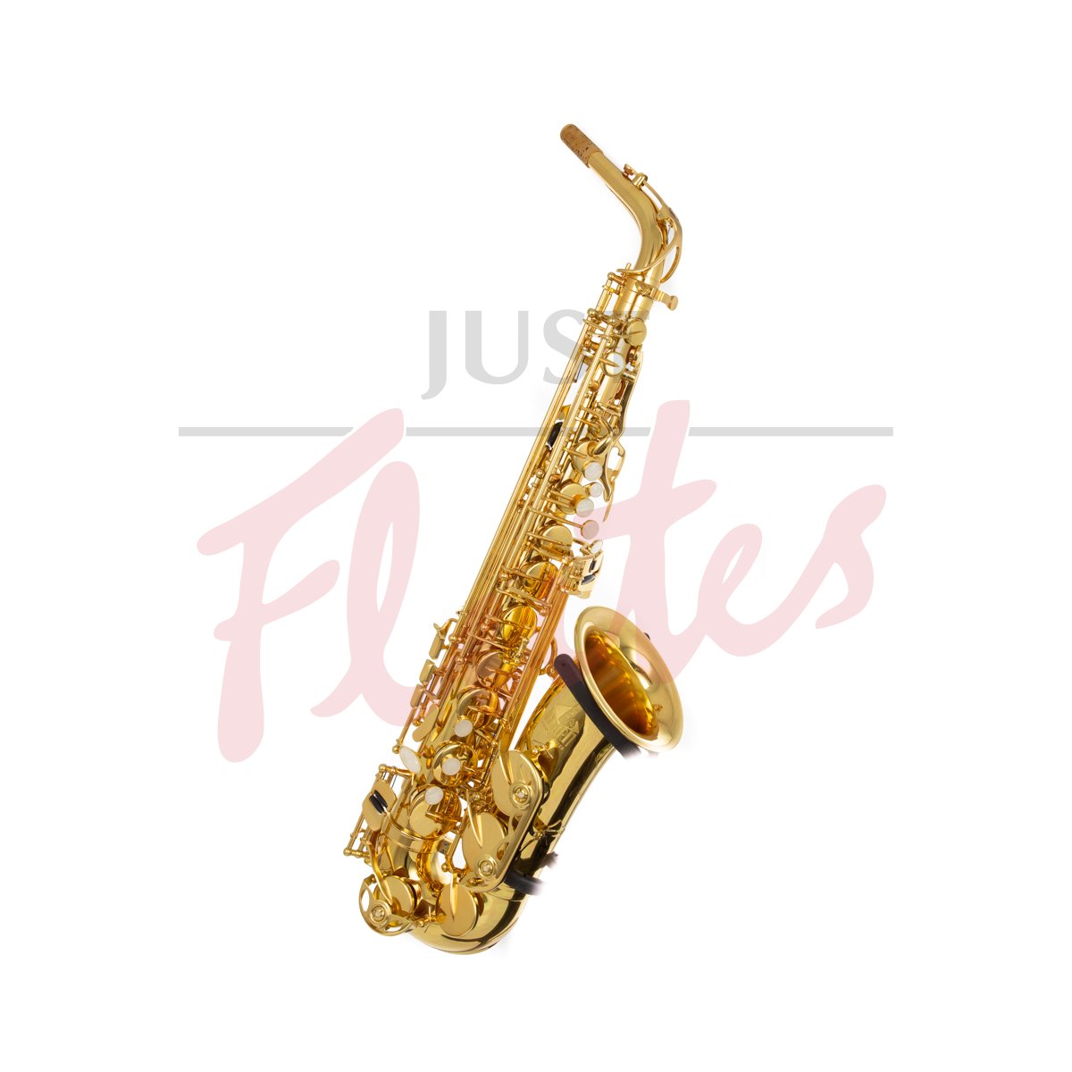 Trevor James 3730G The Horn Alto Saxophone. Just Flutes