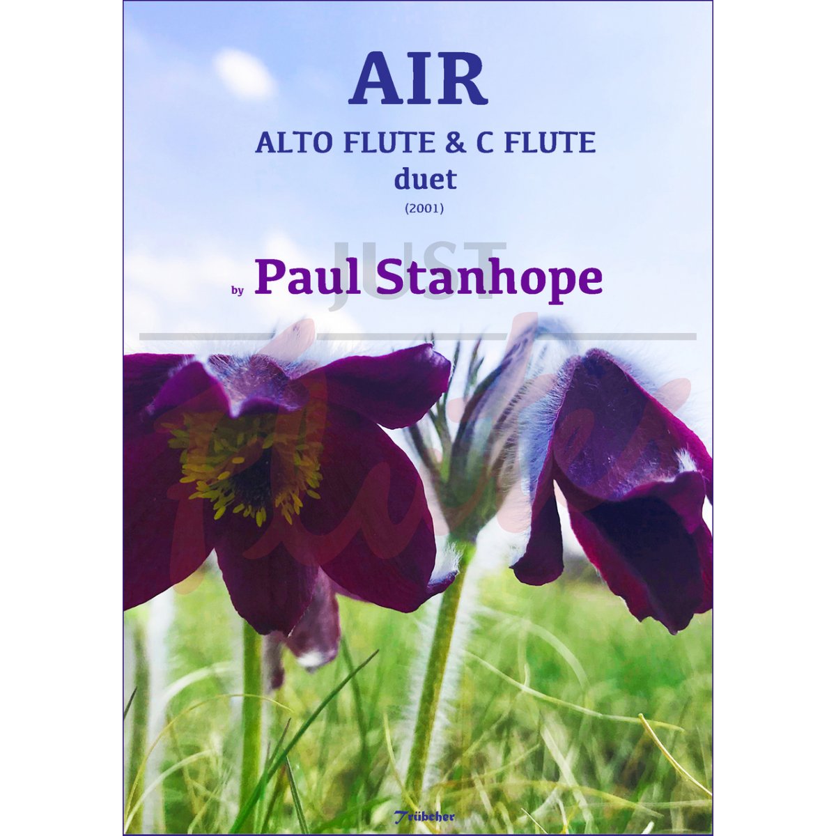 Air for Alto Flute and C Flute