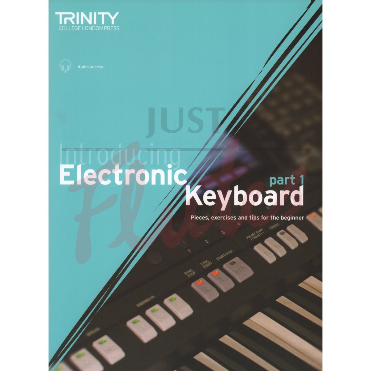 Introducing Electronic Keyboard - Part 1