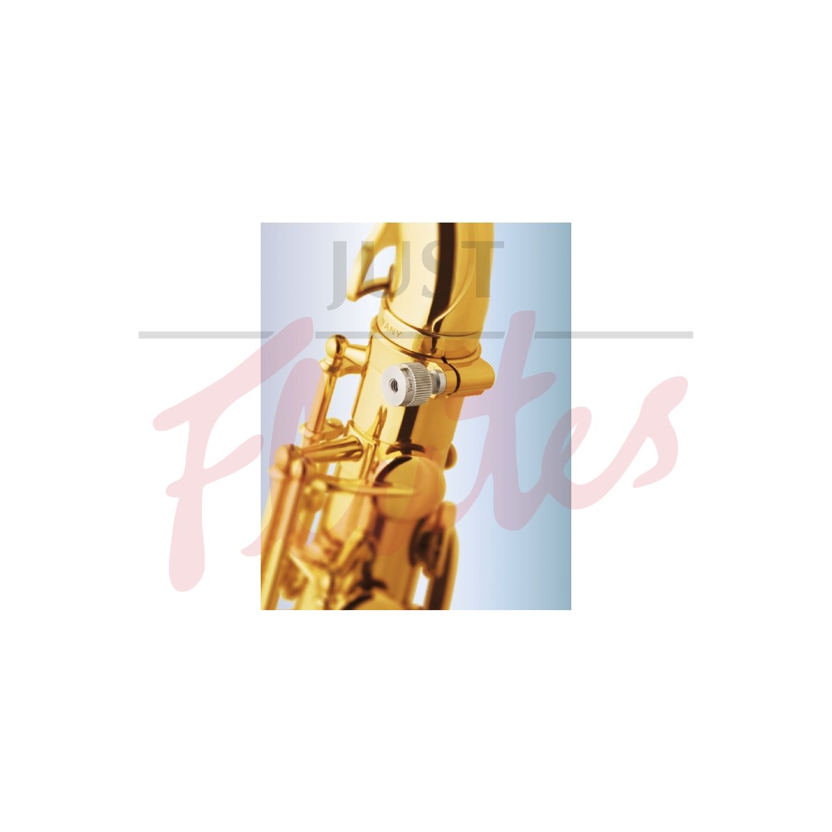 Yanagisawa 