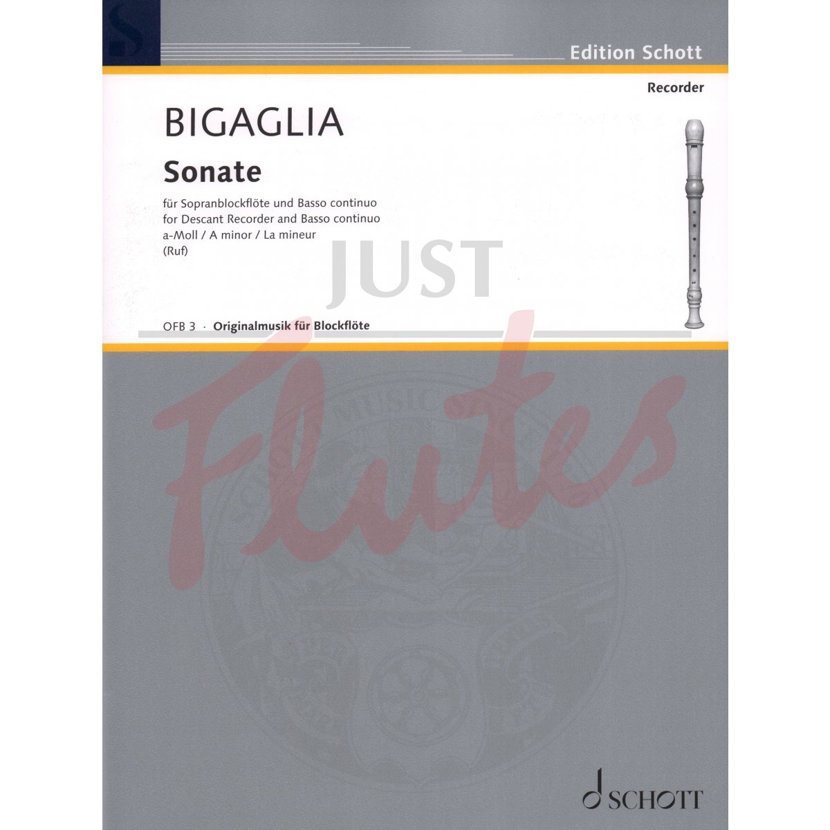 Sonata in A minor for Descant Recorder and Basso Continuo