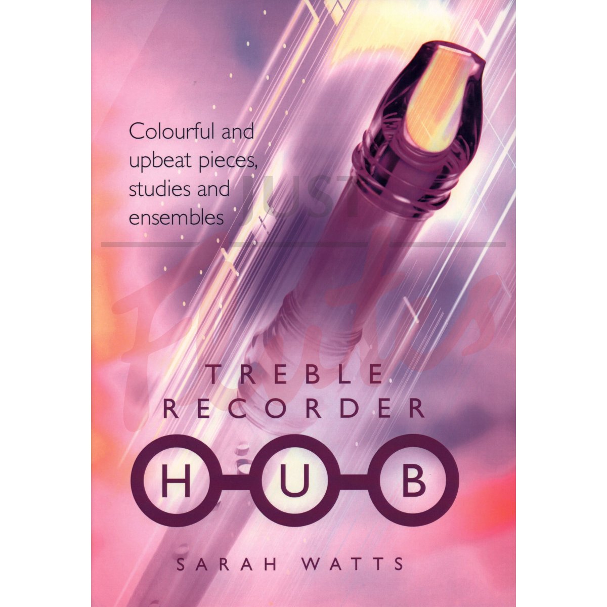 Treble Recorder Hub