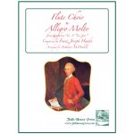 Image links to product page for Allegro Molto from Symphony No 8 "Le Soir" [Flute Choir]