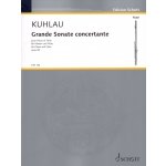 Image links to product page for Grande Sonate Concertante for Flute and Piano, Op85