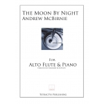 Image links to product page for The Moon by Night
