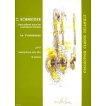 Image links to product page for Le Promeneur