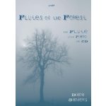 Image links to product page for Flutes of the Forest (includes CD)