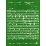 Image links to product page for Sonata in A minor "Arpeggione", D821