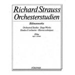 Image links to product page for Orchestral Studies, Stage Works Vol 3
