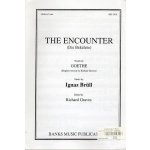Image links to product page for The Encounter