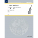 Image links to product page for Allegro Appassionato, Op43