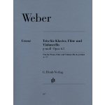 Image links to product page for Trio in G minor for Flute, Cello and Piano, Op63