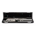 Image links to product page for Azumi AZ-Z1RBE Flute