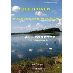 Image links to product page for Allegretto from Symphony no. 7